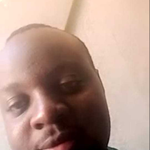 peter k. profile photo