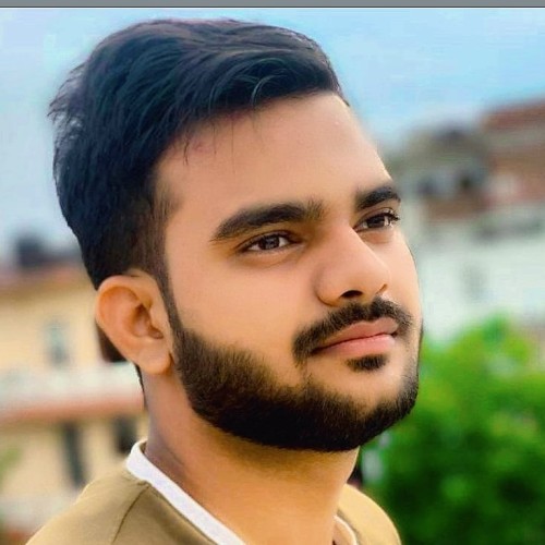 Saransh T.