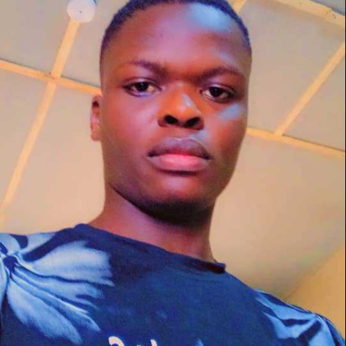 hammed s.