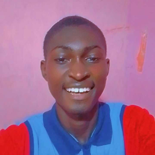 Olaogun S.