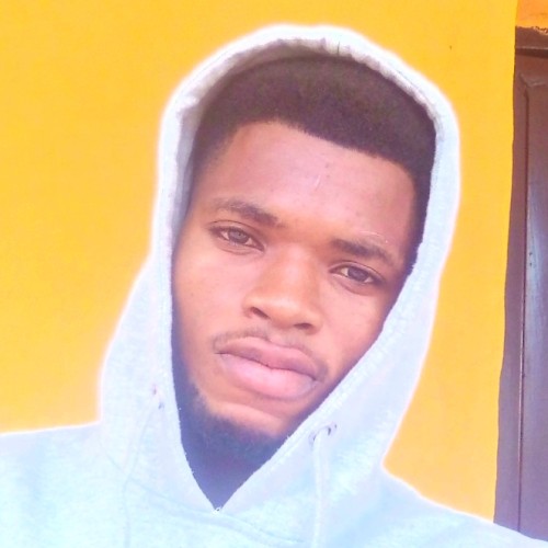 David  K. profile photo