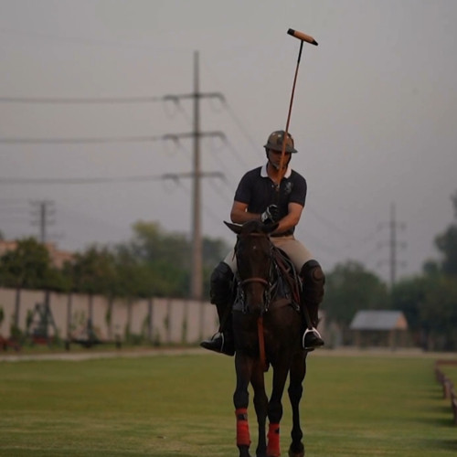 Ali I. profile photo