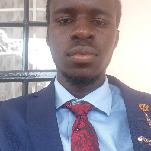 moses n. profile photo