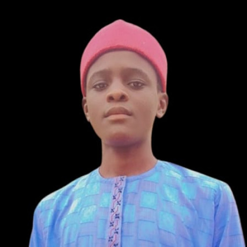Aminu S. profile photo