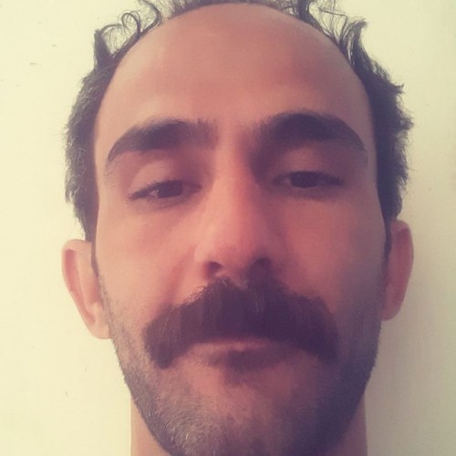 Saeid R.