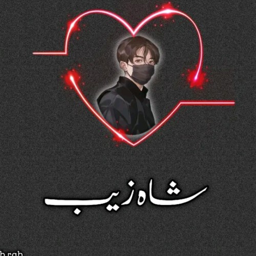 Shahzaib A.