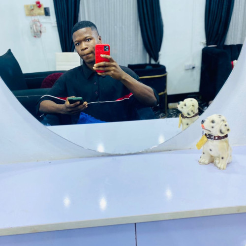 Damilare S. profile photo