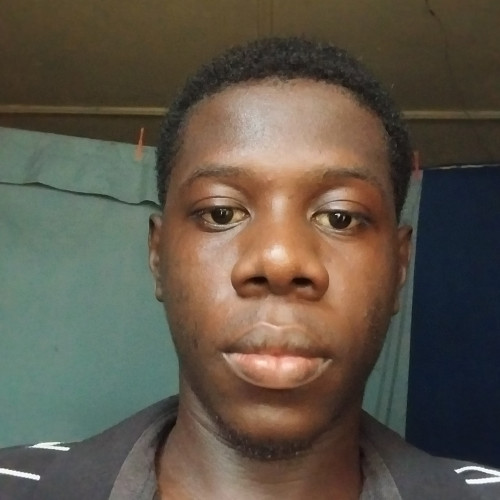 Elvis M. profile photo