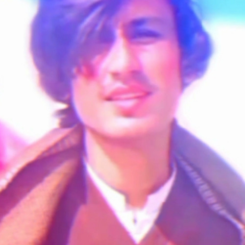 Muhammad Rehan R. profile photo