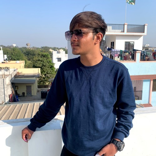 Ankur s.