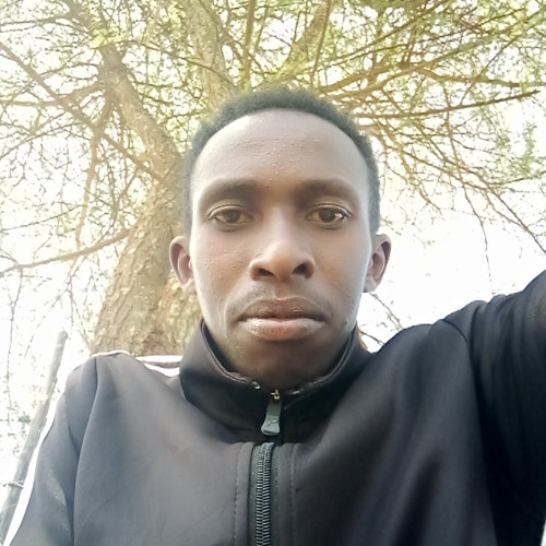 Ben K. profile photo