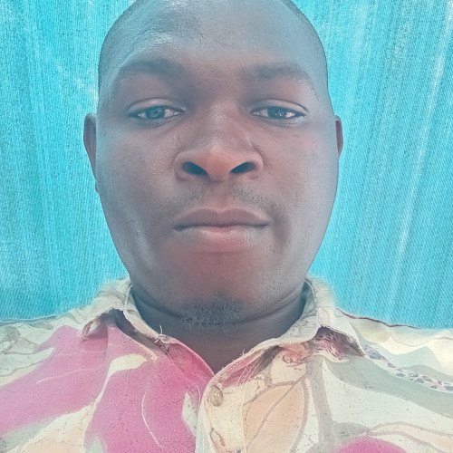 Alade A. profile photo