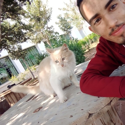 Yassine  M.