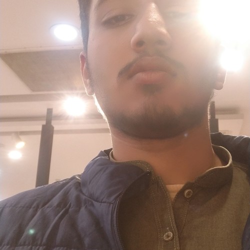 Syed h.