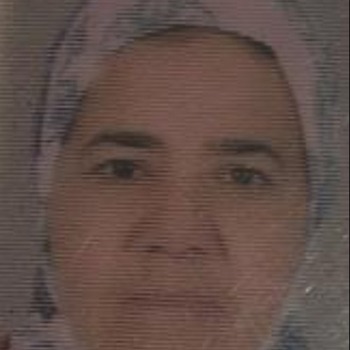 Hassania  B.