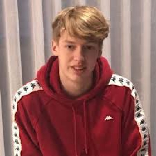 seppe v. profile photo