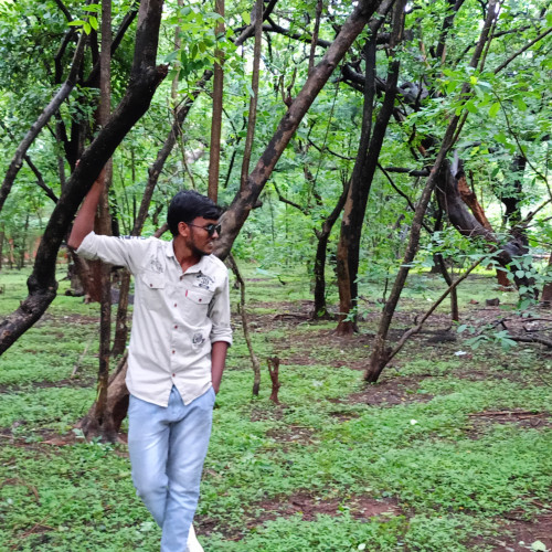 Sai K. profile photo