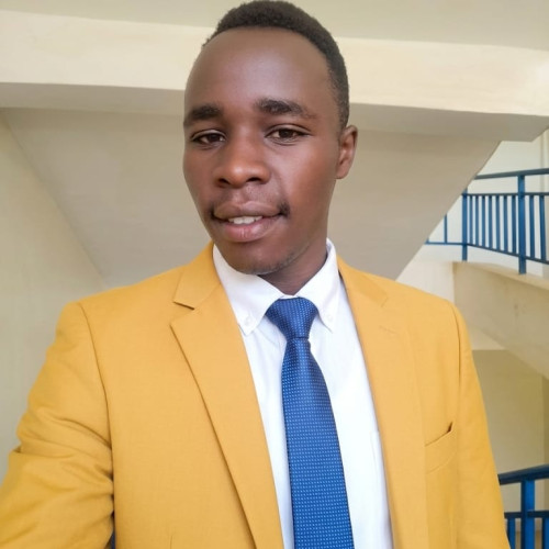 MENTOR O. profile photo