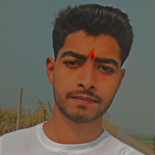 Ayush  G.