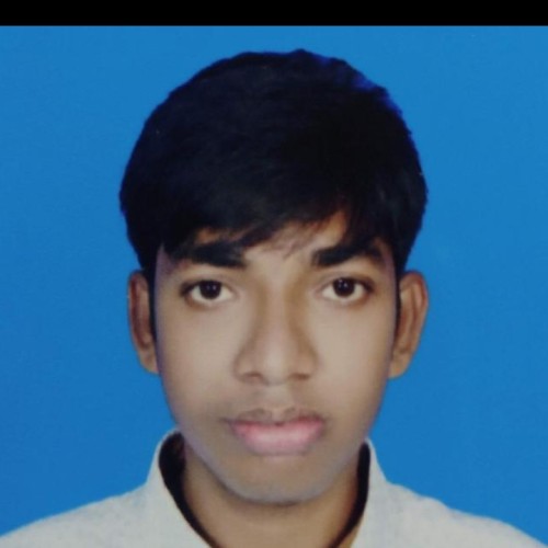 NAYEEM H.