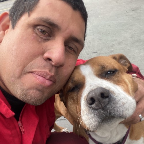 Luis C.