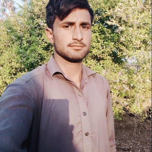 Qasim ali A. profile photo