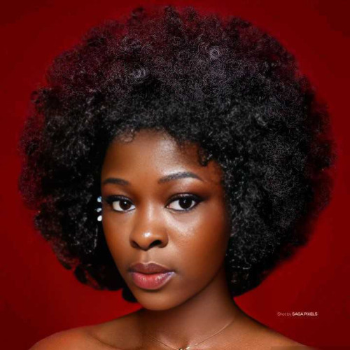 Darky A. profile photo