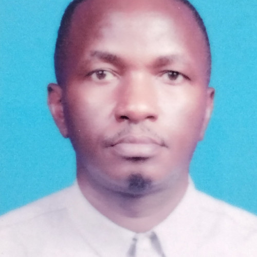 obasanjo n. profile photo