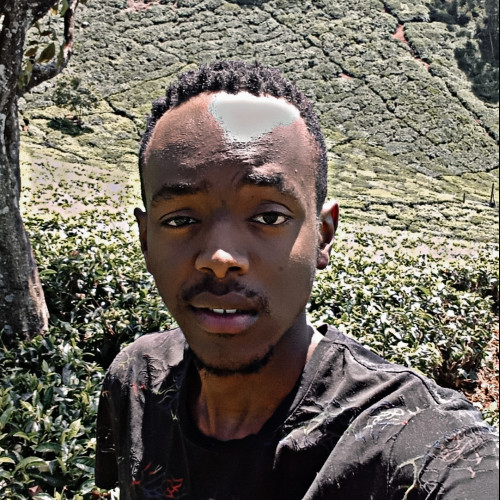 Austin G. profile photo