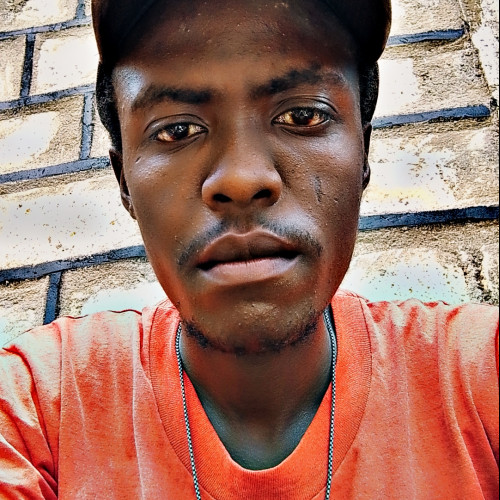 Alex K. profile photo