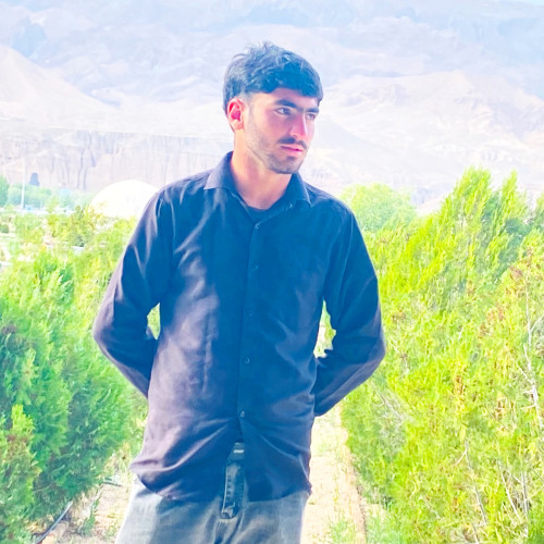 Safiullah M. profile photo