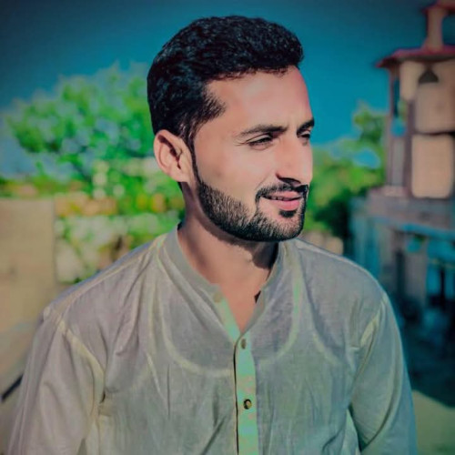 Mehwish  N. profile photo