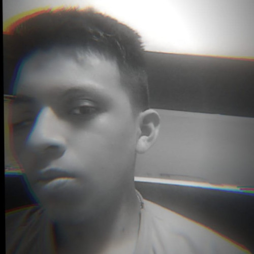 Daniel P. profile photo
