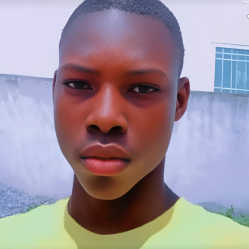 Kwesi  A. profile photo