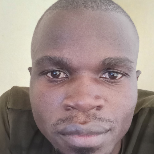 francis n. profile photo