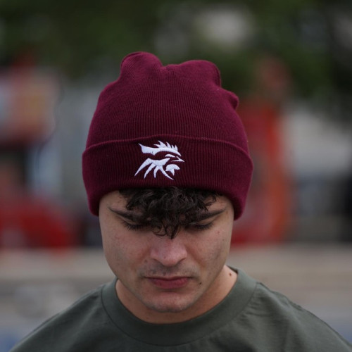 Dylan M. profile photo