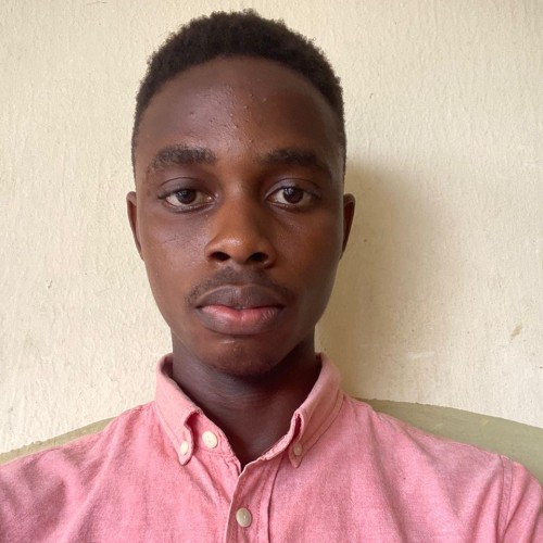 David Osinachukwu A.