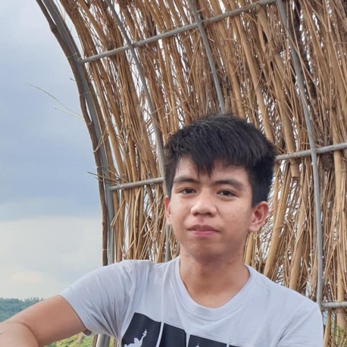 JASPER CARLO B. profile photo