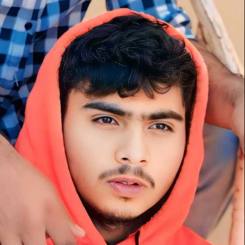 Ali S. profile photo