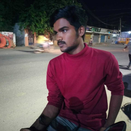 vishnu N.