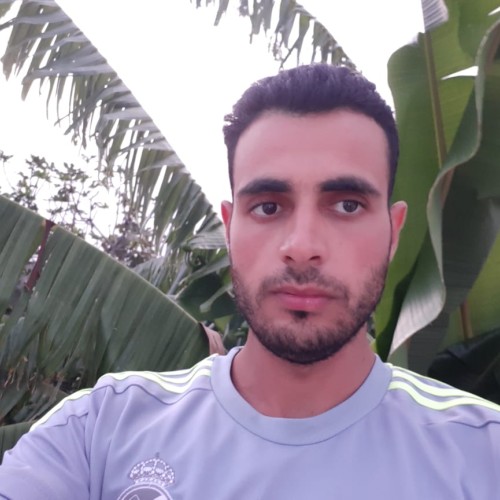 Azeddine E.