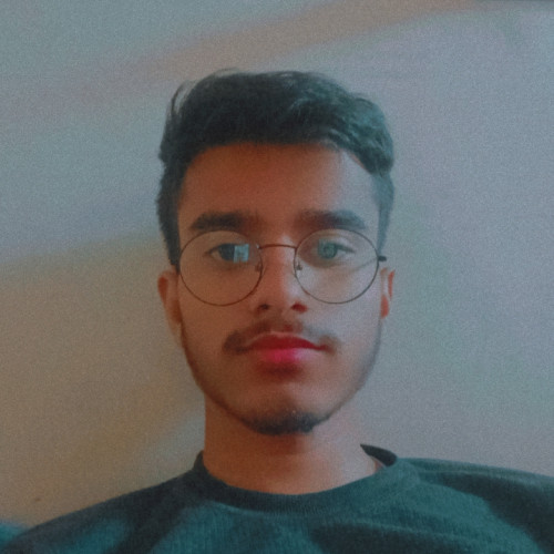 Nishant v. profile photo