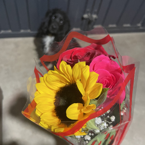 Tatiana S. profile photo