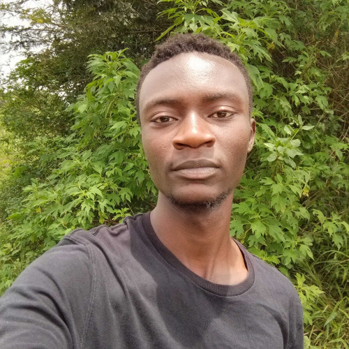 Henry L. profile photo