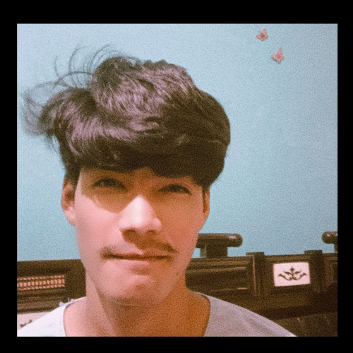 Rajan N. profile photo