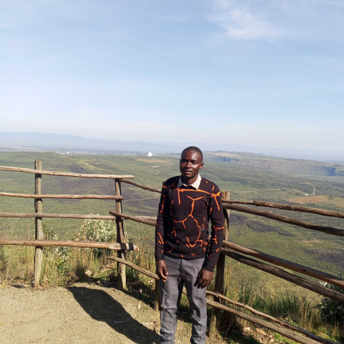 Haningtone O. profile photo