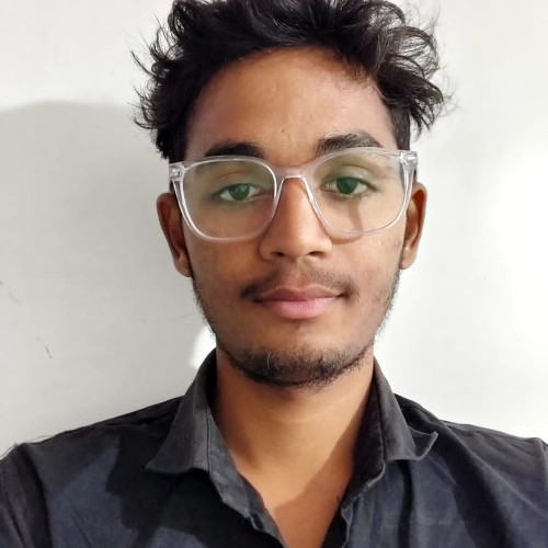 Alok K.