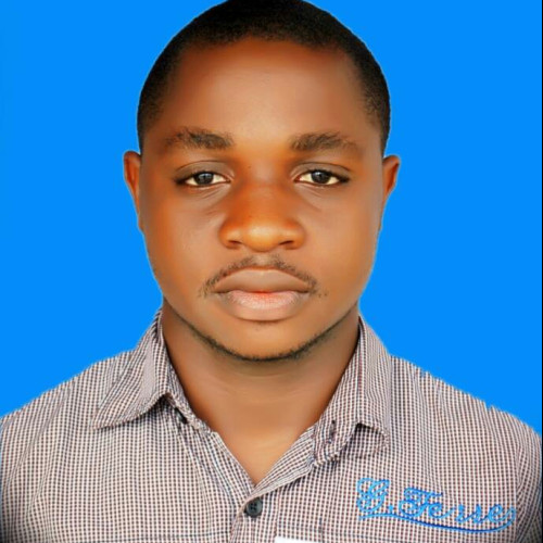 Livingstone Zorle  O. profile photo