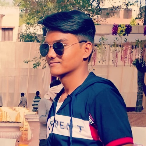 Ansh G.