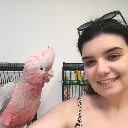 Candice P. profile photo